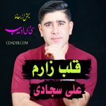 822آهنگ و موزیک ویدیو  رکب از  محسن لرستانی